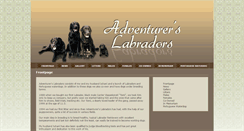 Desktop Screenshot of advlabs.net